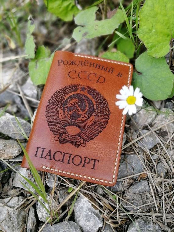 прописка в Кировске